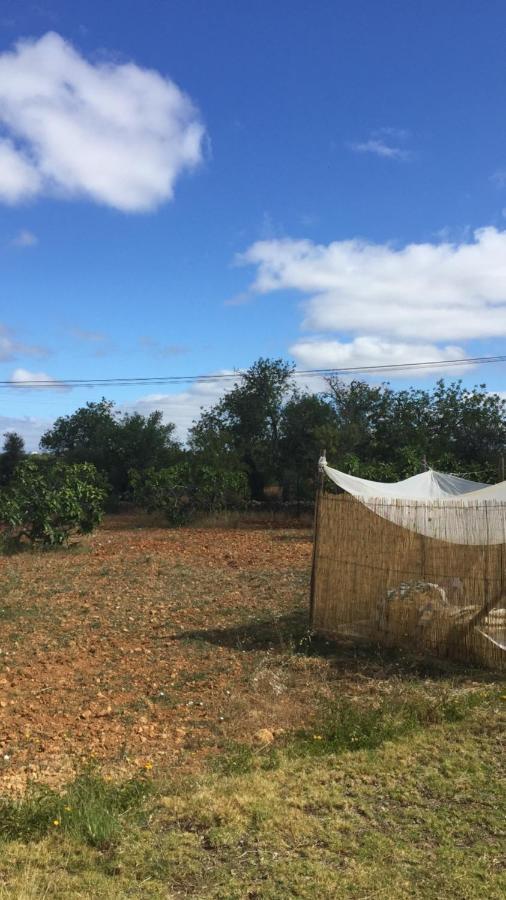 Solar Da Cotovia Villa Albufeira Bagian luar foto