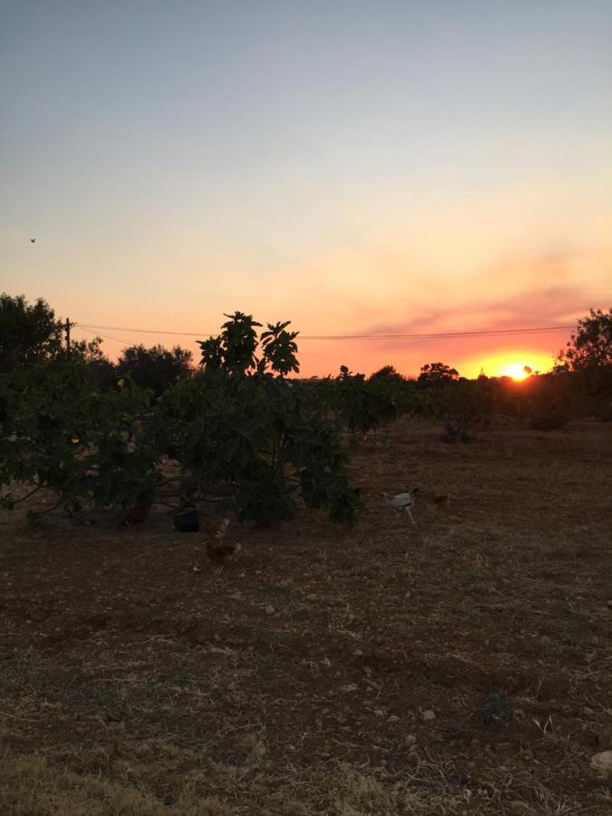 Solar Da Cotovia Villa Albufeira Bagian luar foto