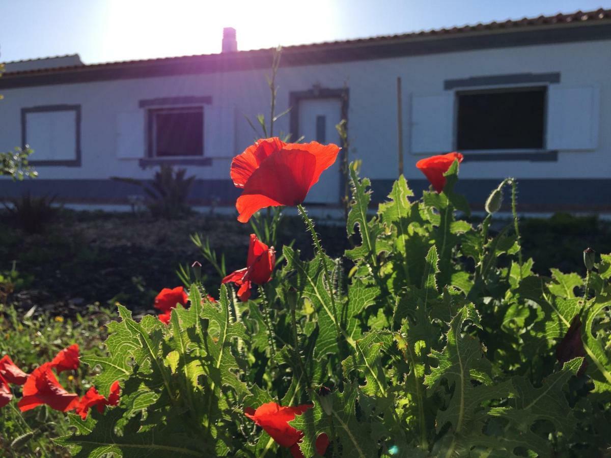 Solar Da Cotovia Villa Albufeira Bagian luar foto