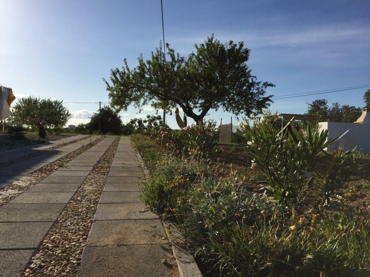 Solar Da Cotovia Villa Albufeira Bagian luar foto